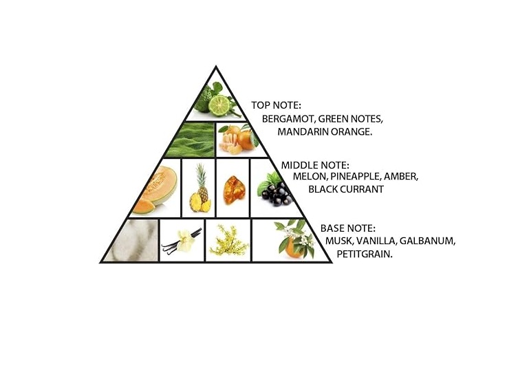 Al Haramain Amber Oud Aqua Dubai 100ml EDP spray